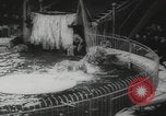 Image of animals circus performance Berlin Germany, 1960, second 61 stock footage video 65675079819