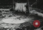 Image of animals circus performance Berlin Germany, 1960, second 62 stock footage video 65675079819