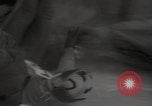 Standbild Weltmeisterschaft im Barrel-Jumping New York City USA, 1960, aus Sekunde 42 historischem Filmmaterial Videoclip 65675079820