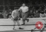 Image of Golden Gloves boxing competition New York City USA, 1960, second 33 stock footage video 65675079822