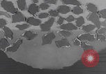 Image of WWII bomb sizes compared United States USA, 1941, second 23 stock footage video 65675079825
