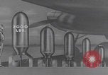Image of WWII bomb sizes compared United States USA, 1941, second 34 stock footage video 65675079825