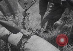 Image of Explosive Disposal Okinawa Okinawa Japan, 1953, second 24 stock footage video 65675079845