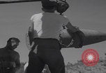 Image of Explosive Disposal Okinawa Japan Okinawa Japan, 1953, second 31 stock footage video 65675079846