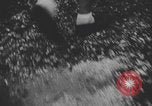 Image of 1942 Circuit de France Vichy Paris Paris France, 1942, second 16 stock footage video 65675079852