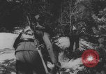 Image of Slovakia skiing competition Slovakia, 1943, second 35 stock footage video 65675079853