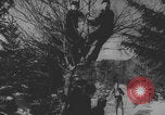 Image of Slovakia skiing competition Slovakia, 1943, second 36 stock footage video 65675079853