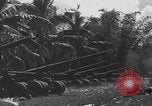 Image of Battle of Leyte Gulf WWII Leyte Philippines, 1944, second 50 stock footage video 65675079908