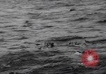 Image of Japanese planes and ships strafed in Leyte WWII Philippines, 1944, second 28 stock footage video 65675079909