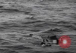 Image of Japanese planes and ships strafed in Leyte WWII Philippines, 1944, second 30 stock footage video 65675079909