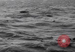 Image of Japanese planes and ships strafed in Leyte WWII Philippines, 1944, second 31 stock footage video 65675079909