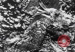 Image of Japanese planes and ships strafed in Leyte WWII Philippines, 1944, second 37 stock footage video 65675079909