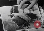 Image of Filipinos suffer Japanese occupation Philippines, 1944, second 50 stock footage video 65675079910