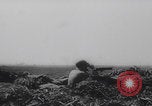 Image of Allied artillery salvos Italy WW2 Anzio Italy, 1944, second 36 stock footage video 65675079911