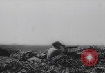 Image of Allied artillery salvos Italy WW2 Anzio Italy, 1944, second 38 stock footage video 65675079911