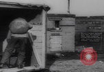 Standbild Segelkiste Shanty Stadt Zweiter Weltkrieg Vereinigtes Königreich, 1944, aus Sekunde 39 historischem Filmmaterial Videoclip 65675079914