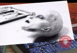 Image of Roswell incident USAF video United States USA, 1997, second 52 stock footage video 65675079917