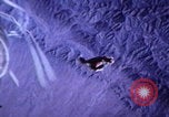 Image of Roswell incident USAF propaganda United States USA, 1997, second 16 stock footage video 65675079920