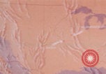 Image of Holloman Air Force Base United States USA, 1949, second 19 stock footage video 65675079930