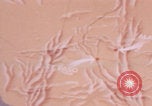 Image of Holloman Air Force Base United States USA, 1949, second 36 stock footage video 65675079930