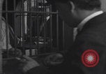 Image of Navin Field Detroit Michigan Detroit Michigan USA, 1921, second 29 stock footage video 65675079952