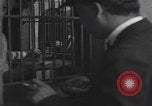 Image of Navin Field Detroit Michigan Detroit Michigan USA, 1921, second 31 stock footage video 65675079952