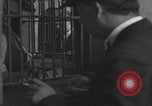 Image of Navin Field Detroit Michigan Detroit Michigan USA, 1921, second 32 stock footage video 65675079952