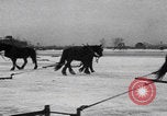 Image of Detroit ice block cutting Detroit Michigan USA, 1921, second 18 stock footage video 65675079956