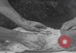 Image of chicken dissection Detroit Michigan USA, 1921, second 22 stock footage video 65675079957