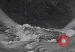 Image of chicken dissection Detroit Michigan USA, 1921, second 30 stock footage video 65675079957