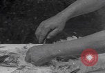 Image of chicken dissection Detroit Michigan USA, 1921, second 35 stock footage video 65675079957