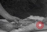 Image of chicken dissection Detroit Michigan USA, 1921, second 37 stock footage video 65675079957