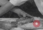 Image of chicken dissection Detroit Michigan USA, 1921, second 48 stock footage video 65675079957