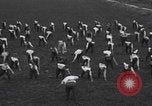 Image of boys play and exercise Detroit Michigan USA, 1921, second 37 stock footage video 65675079959