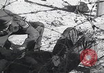 Image of Bombings in Palestine Palestine, 1947, second 22 stock footage video 65675079965