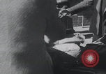 Image of Jewish refugees arriving Palestine Palestine, 1947, second 41 stock footage video 65675079968