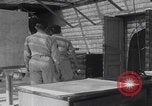 Image of OSS recruit training Cairo Egypt, 1945, second 58 stock footage video 65675079977