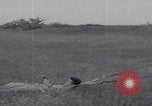 Image of OSS training Egypt Egypt, 1943, second 32 stock footage video 65675079980