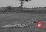 Image of OSS training Egypt Egypt, 1943, second 34 stock footage video 65675079980