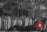Image of OSS training Egypt Egypt, 1943, second 51 stock footage video 65675079980
