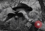 Image of US OSS agents parachute Greece, 1943, second 27 stock footage video 65675079982