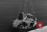 Image of Marshal Tito Yugoslavia, 1943, second 6 stock footage video 65675079984