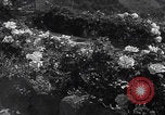 Image of Empress Zita of Bourbon-Parma Menton France, 1935, second 28 stock footage video 65675079987