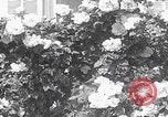 Image of Empress Zita of Bourbon-Parma Menton France, 1935, second 29 stock footage video 65675079987