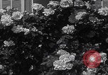 Image of Empress Zita of Bourbon-Parma Menton France, 1935, second 31 stock footage video 65675079987