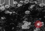 Image of Empress Zita of Bourbon-Parma Menton France, 1935, second 32 stock footage video 65675079987