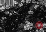 Image of Empress Zita of Bourbon-Parma Menton France, 1935, second 34 stock footage video 65675079987