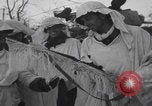 Image of US 30th Infantry Division snow camouflage Malmedy Belgium, 1945, second 11 stock footage video 65675079992