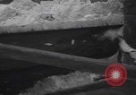 Image of US 30th Infantry Division Malmedy Belgium, 1945, second 19 stock footage video 65675079993