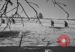 Image of Malmedy massacre victims exhumation Malmedy Belgium, 1945, second 20 stock footage video 65675079994